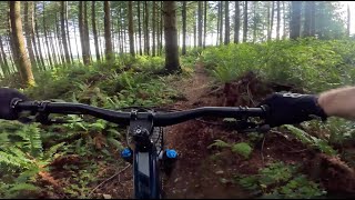 2 1/2 - Galbraith Mountain - Bellingham -...