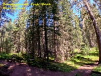 Mountain Biking Jumpingpound Loop Norh -...