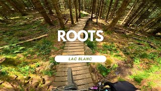 Roots Bikepark Lac Blanc France  Trail Review...