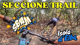 occhio agli alberi! SECCIONE TRAIL - Isola...