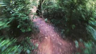 Singletrack Parque Barigui