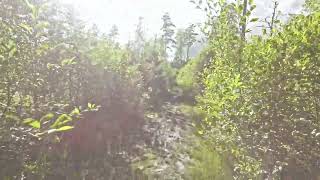 19 June 2024 The easiest trail at Hylliskogen