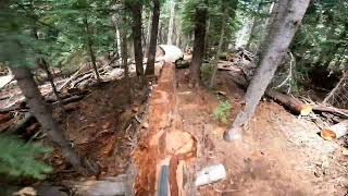 AZ DH MTB: Sunrise Park Resort : Log Jammin 2025