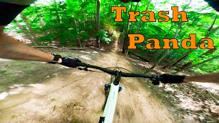 Don Valley Mountain Bike Trails: Trash Panda...