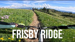 A Reward to Mountain Bikers | Frisby Ridge | A...