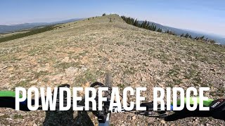 Need for Endurance - Powderface Ridge | Top to...