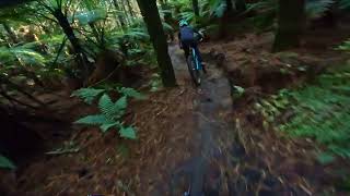 Yeet St @ Whakarewarewa Forest. Rotorua