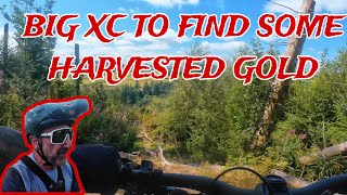 WHEN A LOCAL XC FINDS YOU SOME WICKED TRACKS!