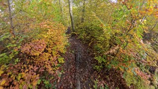 Cervarezza - Arrangiati - MTB POV
