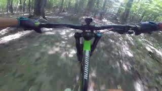 horsin' around to sidewinder dh august 21 2025