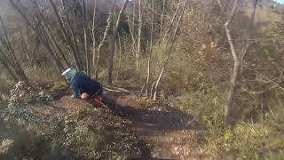 Sveta Gora shred
