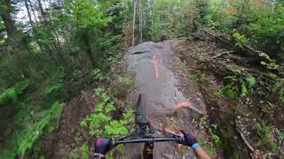 Précieuse, MTB belle-neige