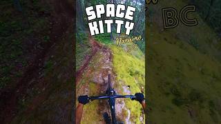Space Kitty - Nanaimo, BC - MTB Trail...
