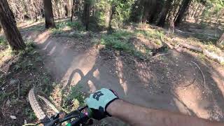 First Time Down 'Lower Missing Link' Trail in...
