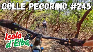 uno dei miei preferiti: COLLE PECORINO #245...