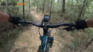 North Flow Trail to Love Chunks