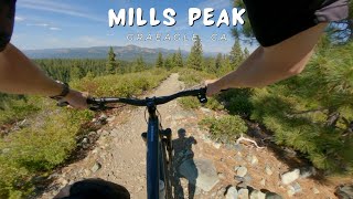 Mills Peak / Graeagle, CA / MTB