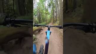 Twisted Hemlock trail in Washington