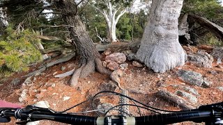 Majura Pines Mountain Biking - Rock Block trail