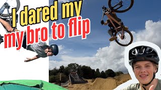 Phoenix bike park shred