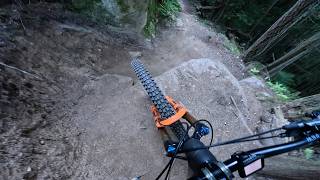 BEST DH in Bellingham | Transition Sentinel...