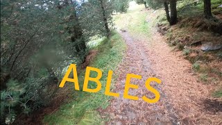 GIÙ DAI BOSCHI DELLA VALFURVA!!! Ables Trail...
