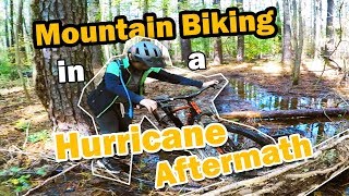 Cape Fear River Trail has not yet recovered...