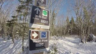 West Pine Trail  Winter POV