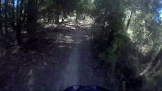 Quick Link to Big Bend