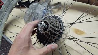 Freewheel came apart