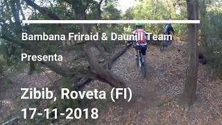 Zibib, Roveta (FI), 17-11-2018