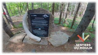 Spécial Singletrack à SDM!