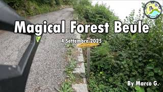 Magical Forest - Beule #1