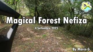 Magical Forest Nefize (Garibaldi) #2