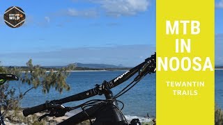 Dirtline Wild, MOUNTAIN BIKING IN NOOSA,...