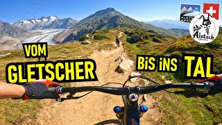 ALETSCH ARENA Magisch: Moosfluh Enduro Trail ...