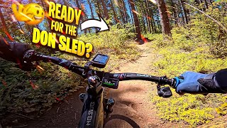 This was a first glimpse of Don Sled at...