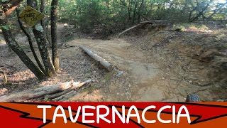 MTB Roveta 23.08.2025 sentiero TAVERNACCIA
