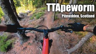 TTApeworm - Pitmedden, Scotland