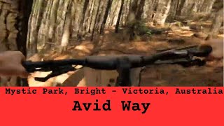 Mystic Park - Avid Way #50