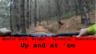 Mystic Park - Up and at ‘em
