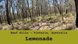Reef Hills - Lemonade