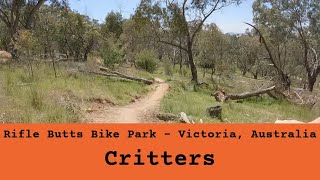 Rifle Butts - Critters