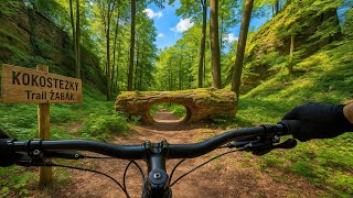 KOKOSTEZKY vol.36 | ‍♂️ MTB Trail...