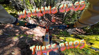 A Swiss biker in BC EP 30 II Working Class |...