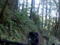 Nasty Stench Trail to Fallen Leaf Lake Pavilion