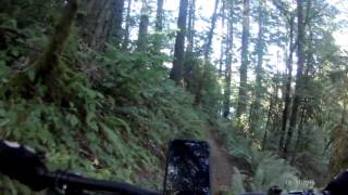 Nasty Stench Trail to Fallen Leaf Lake Pavilion