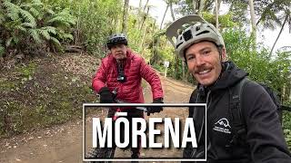 Whakarewarewa Forest Loop in Rotorua | Māori...