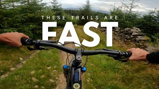 The MTB Trails in Glentress are Fast!