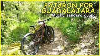 Pasándolas canutas con la Canyon Lux Trail...